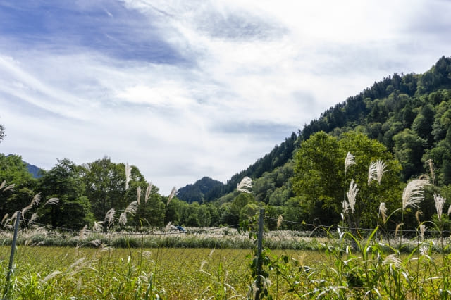 風景